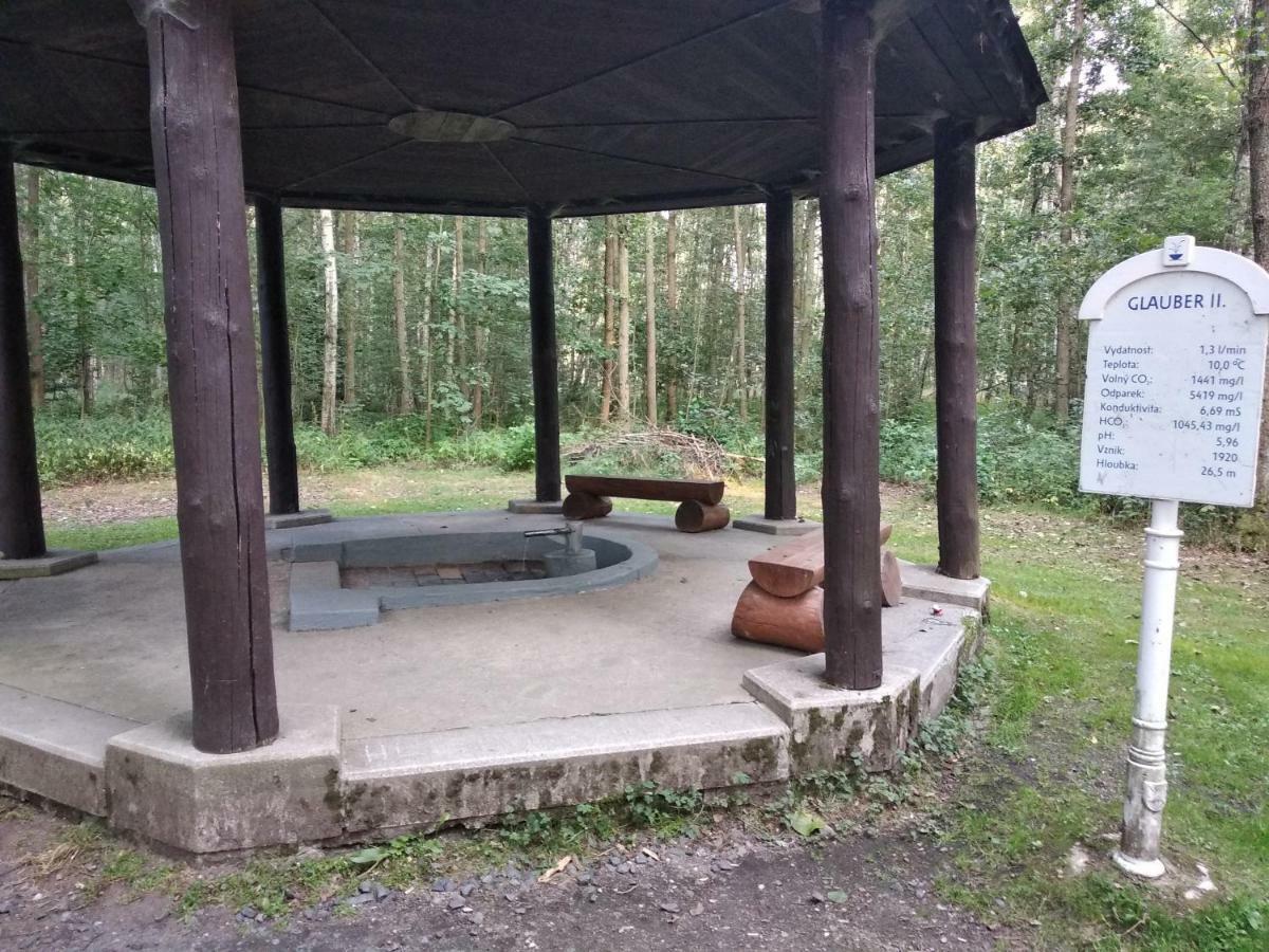 Apartments Ceska Františkovy Lázně Eksteriør bilde