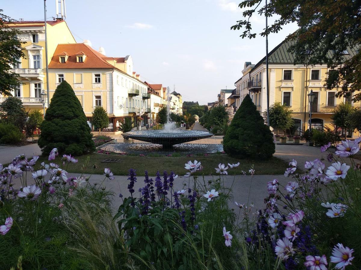Apartments Ceska Františkovy Lázně Eksteriør bilde